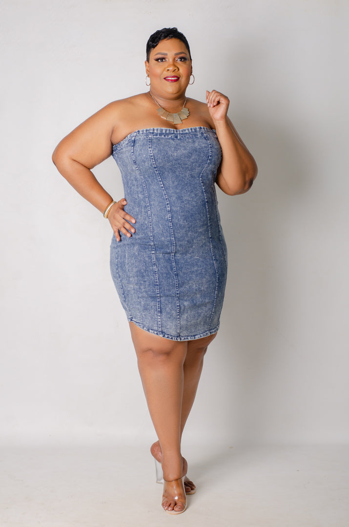 Andrina Denim Dress - Acid Wash