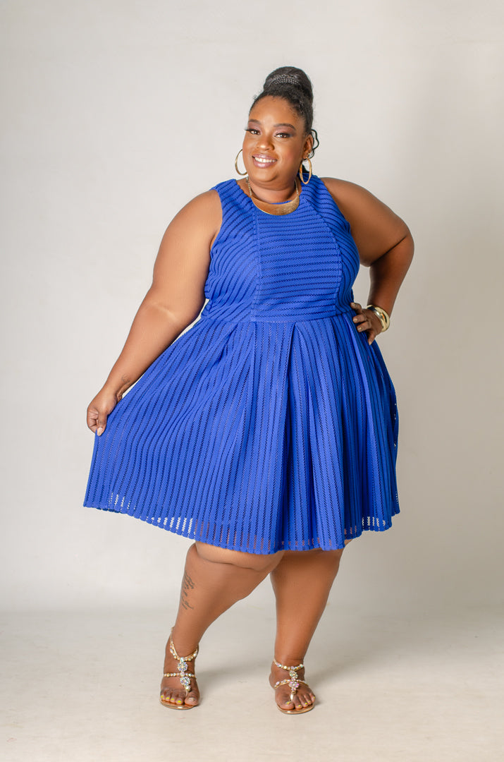 Versailles Skater Dress – Phierce Plus