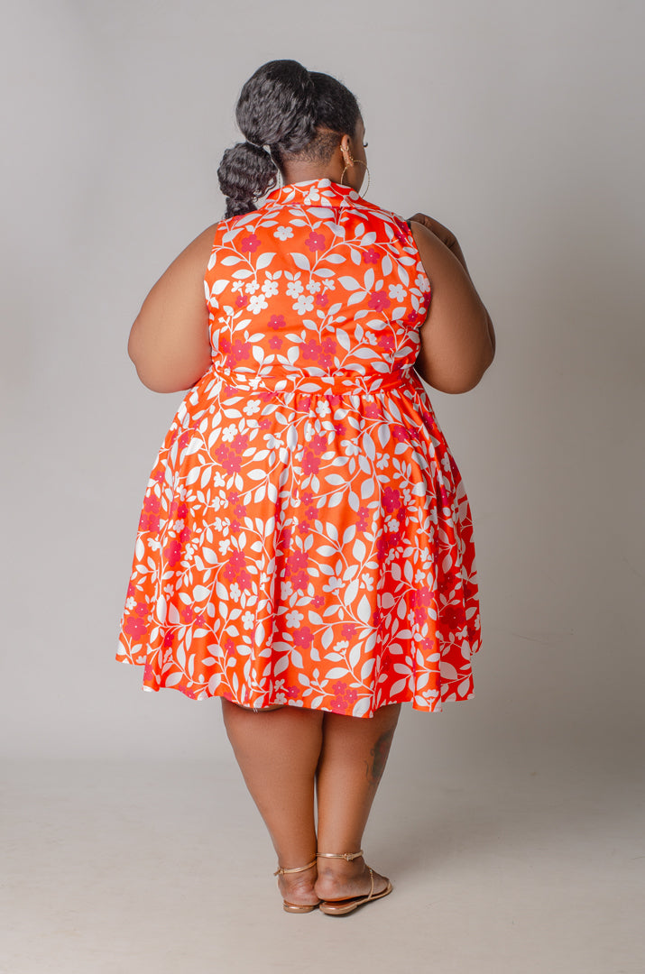 Collar Me Pretty Dress - Orange
